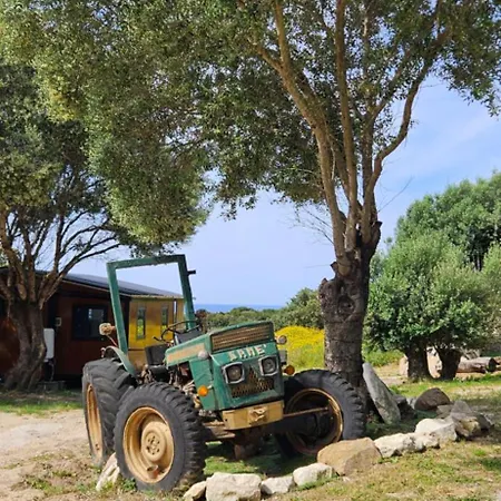 Grande Confort Lägenhet