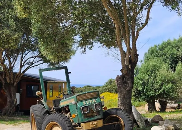 Grande Confort Appartement